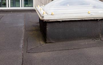 disadvantages of Llwynmawr flat roofs