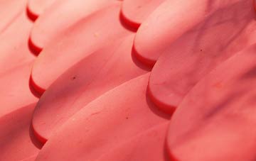 Llwynmawr plastic roof costs