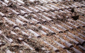 Llwynmawr roof cleaning companies