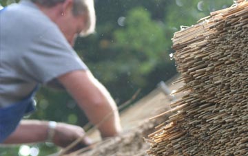 professional Llwynmawr thatchers