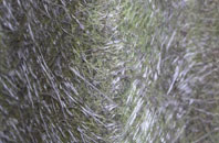 Llwynmawr fibreglass roof work